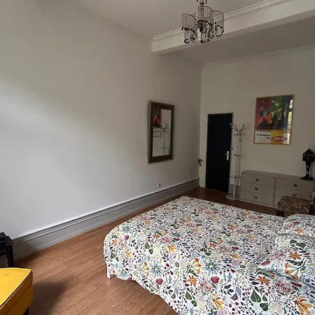 Apartment Spacieux En Centre Strasbourg